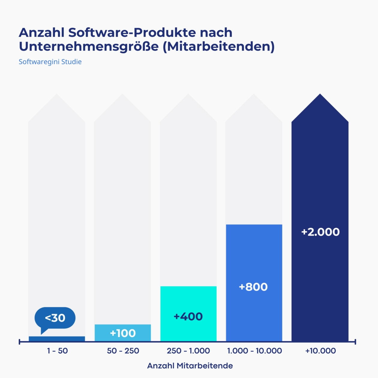 Softwaregini_Grafik