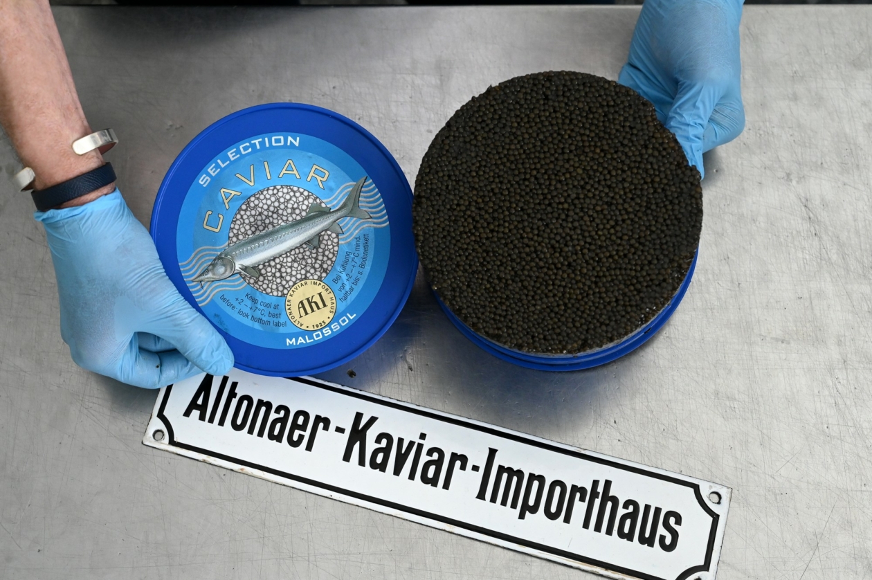 Altonaer Kaviar-Import _14052025_035_Montage