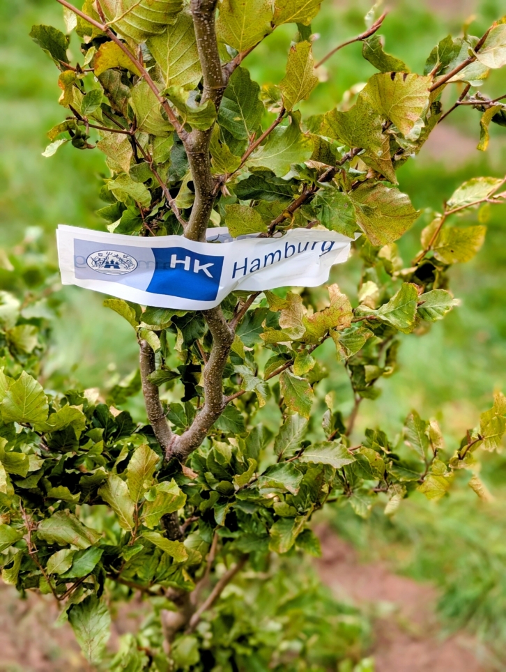 Pflanzevent_20251017_113709319.PORTRAIT2